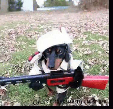 hunting dog costume hunting dog costume